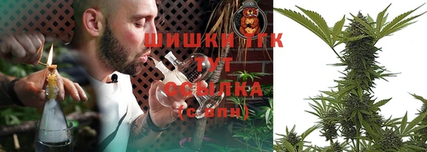 apvp Гусь-Хрустальный